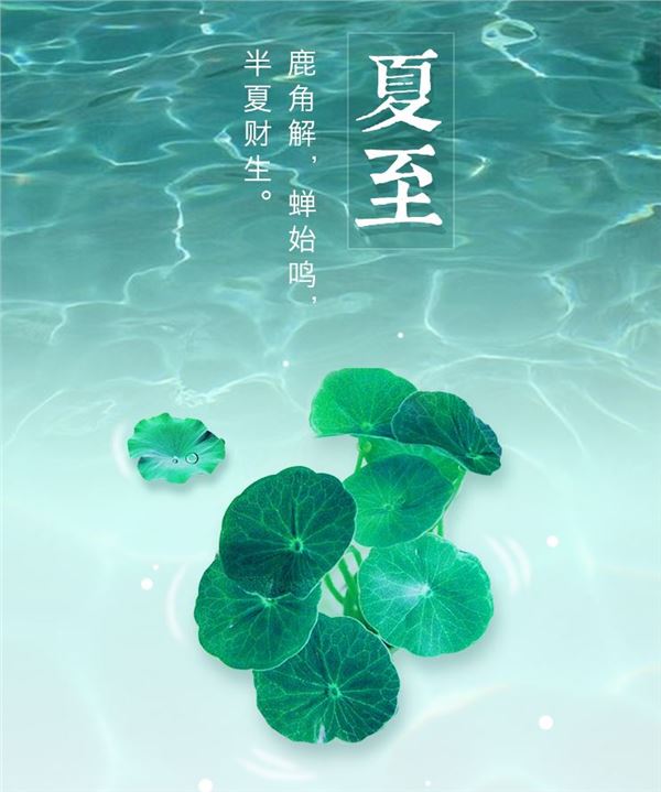 夏至节气图片,夏至图片大全 夏至节气图片,夏至图片大全