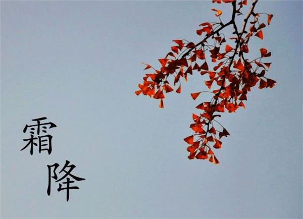 霜降图片,关于霜降节气的图片 霜降图片,关于霜降节气的图片