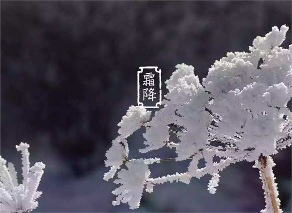 霜降图片,关于霜降节气的图片 霜降图片,关于霜降节气的图片