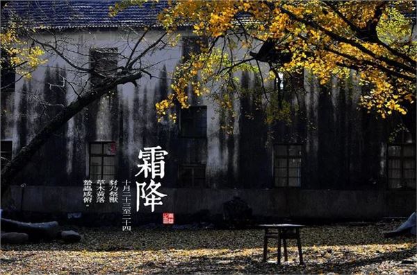 霜降图片,关于霜降节气的图片 霜降图片,关于霜降节气的图片