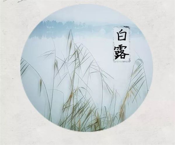 白露图片,关于白露节气的图片大全 白露图片,关于白露节气的图片大全