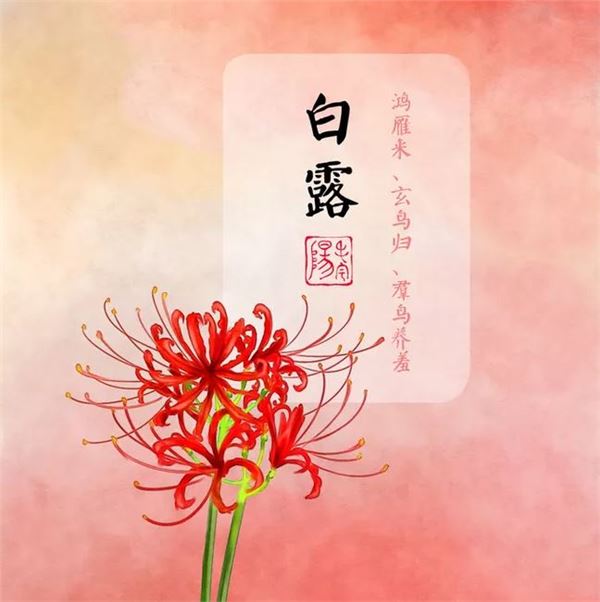 白露图片,关于白露节气的图片大全 白露图片,关于白露节气的图片大全
