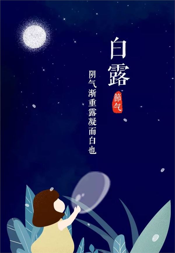 白露图片,关于白露节气的图片大全 白露图片,关于白露节气的图片大全