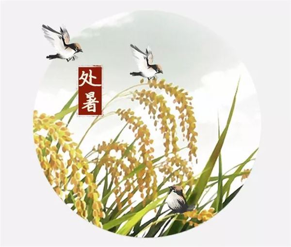 处暑图片,关于处暑节气的图片大全 处暑图片,关于处暑节气的图片大全