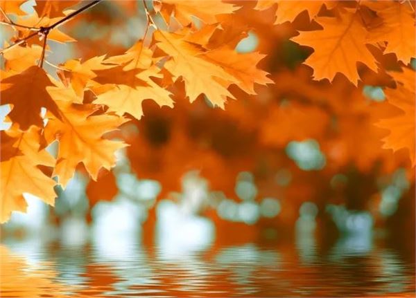 什么时候进入秋天 6366923541949172185088860.jpg