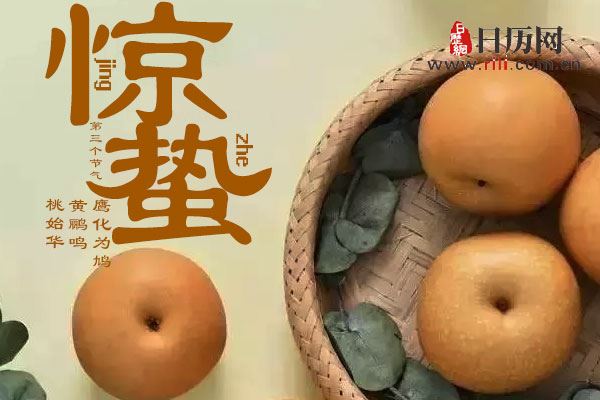 惊蛰吃梨的典故_日历网