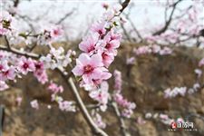 老北京二月二龙抬头吃什么