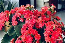 春分节气的特点简介