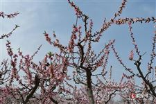 春分正午太阳高度角 春分正午太阳高度角