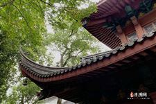 春分是什么意思含义介绍 春分是什么意思含义介绍