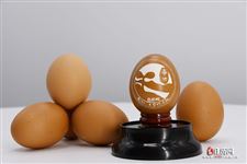 2021年春分什么时候结束 2021年春分什么时候结束