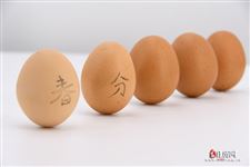 春分什么时候立鸡蛋 春分什么时候立鸡蛋