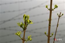2021年今年春分是几月几号,2021年今年春分是几月几号几点几分 2021年今年春分是几月几号,2021年今年春分是几月几号几点几分