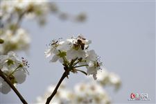 春分点是什么的交点