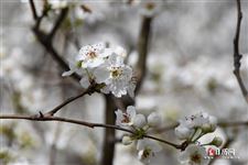春分点是什么意思