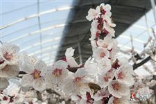 春分秋分时间点在哪里