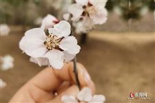 春分夏至秋分冬至的太阳直射点位置