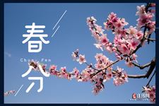 春分养生吃什么食物