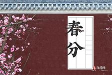 春分养生吃什么食物好