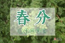 春分钓鱼选位技巧