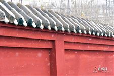 2021年数九天时间表一九到九九