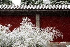 2021年到2022年三九天时间表