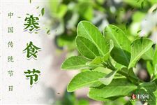 2021年寒食节放假吗？寒食节的起源