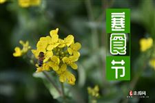 寒食节来历的相关资料