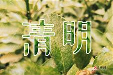 清明节有哪些民俗活动 清明节有哪些民俗活动