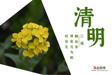 为什么清明节没有固定的时间