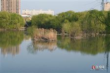 清明前一个节日是什么节，清明节之前有什么节日