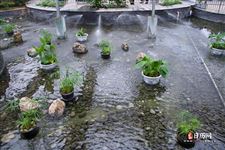 清明节总是4月5日吗？