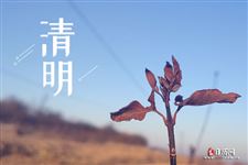 清明节的前一天是为了纪念谁