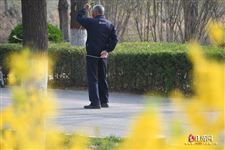 清明节能出门吗，清明节能出去玩吗
