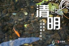 清明节传统活动有哪些