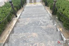 清明节煮鸡蛋的草叫什么