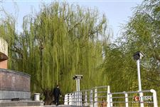 2021年清明节派出所上班吗