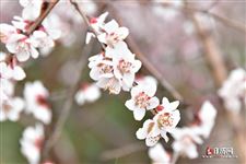 2021年4月6日五行穿衣指南
