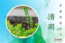 清明节放假安排2021学生