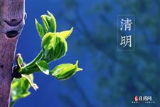 清明节的时间是怎么确定的