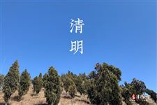 今天清明节可以扫墓吗?