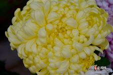 2021清明节是什么时候