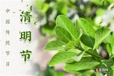 古代人怎么过清明节