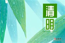 清明节怎么文明祭祀，清明节怎么文明祭扫