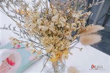清明节什么花开