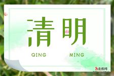 清明节植树活动的意义
