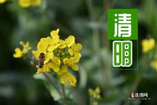 清明节放假注意安全通知