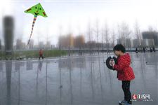 清明节应该干什么