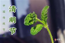 清明节上坟可以提前多少天
