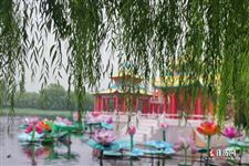 2021清明节星期几上班
